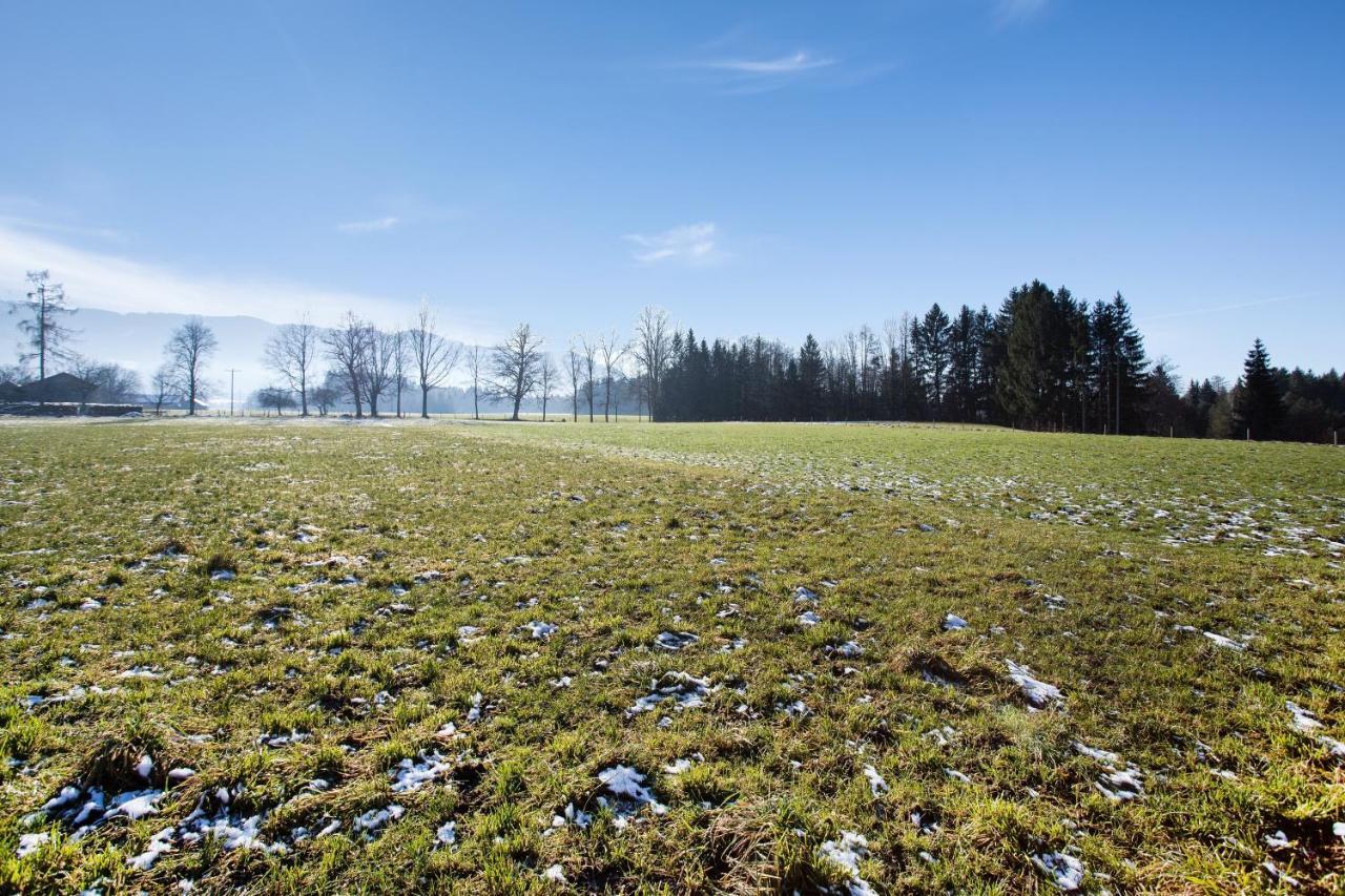 Ferienwohnung Seeblick Bad Heilbrunn Exteriör bild